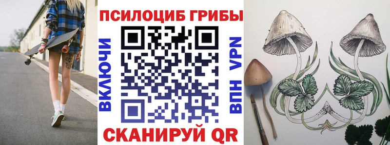 Галлюциногенные грибы ЛСД  Саяногорск 